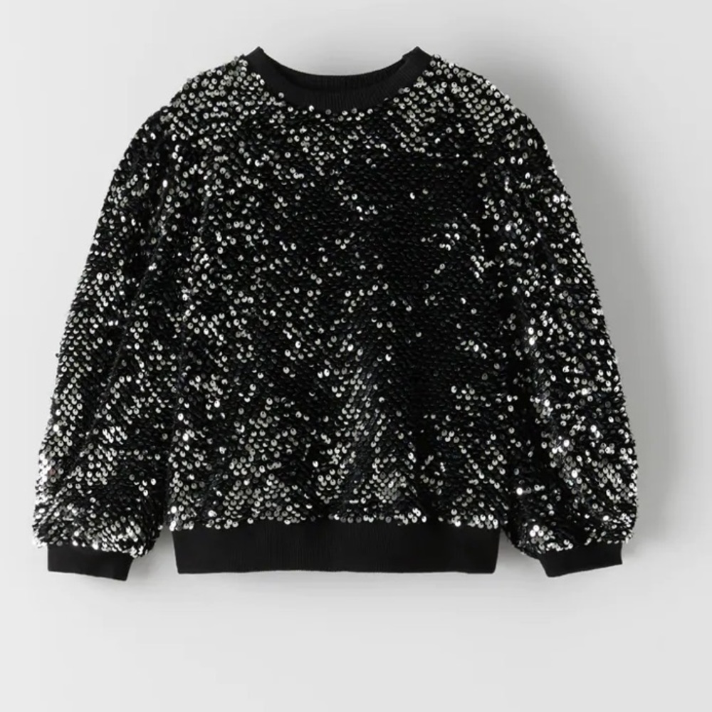 NWT Zara Sequin Sweatshirt